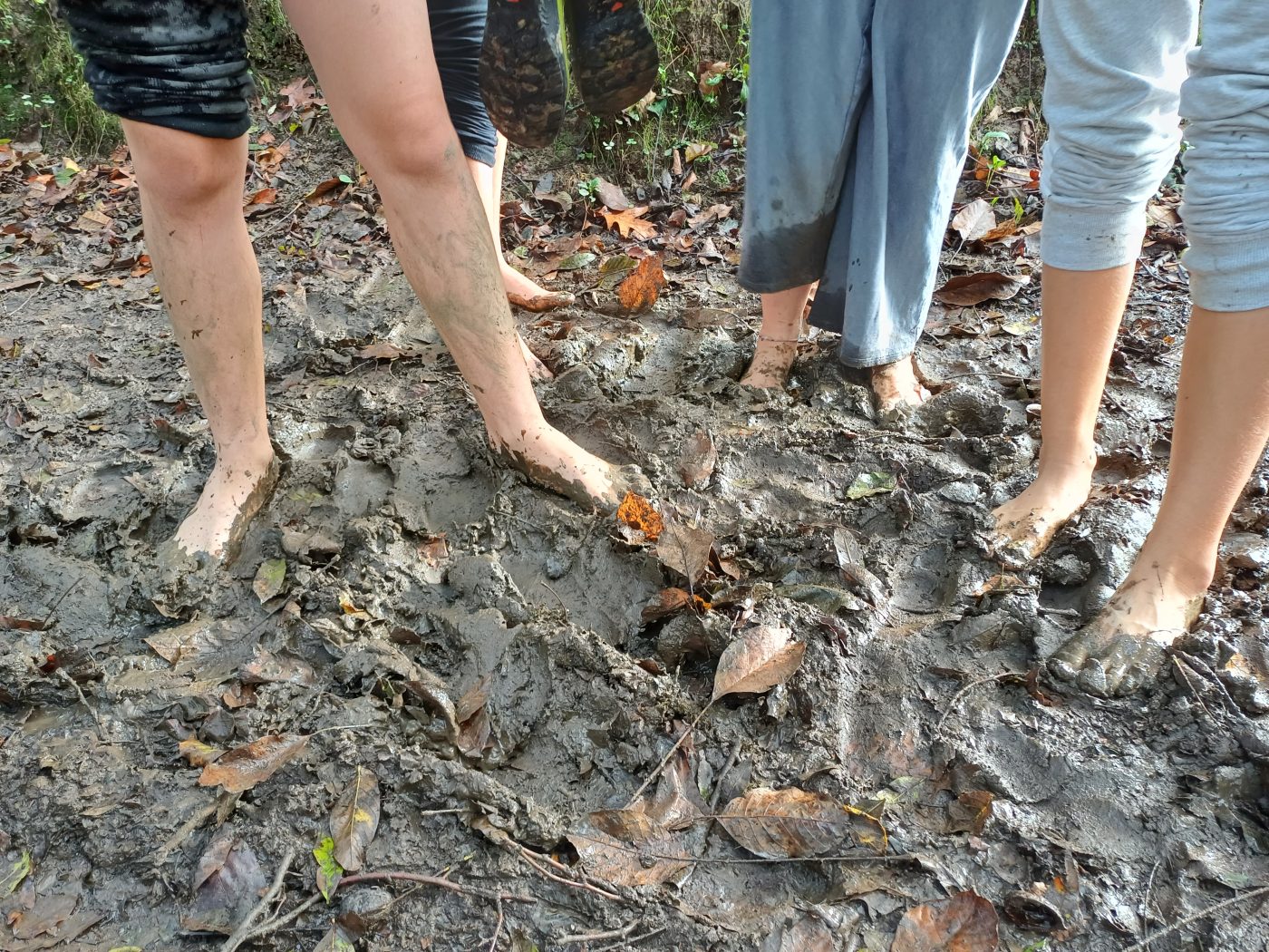 Granja escuela medioambiental